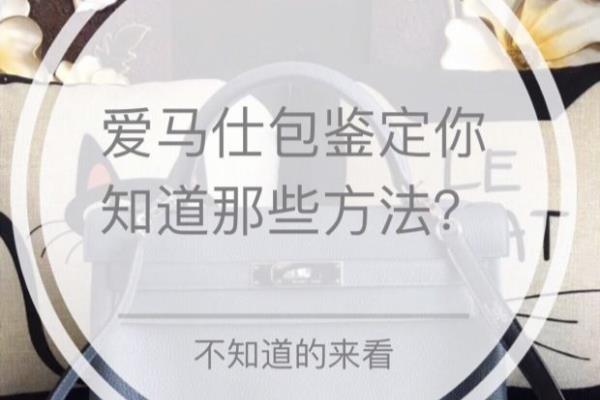 爱马仕的包有logo吗（爱马仕的包为何备受追捧）.