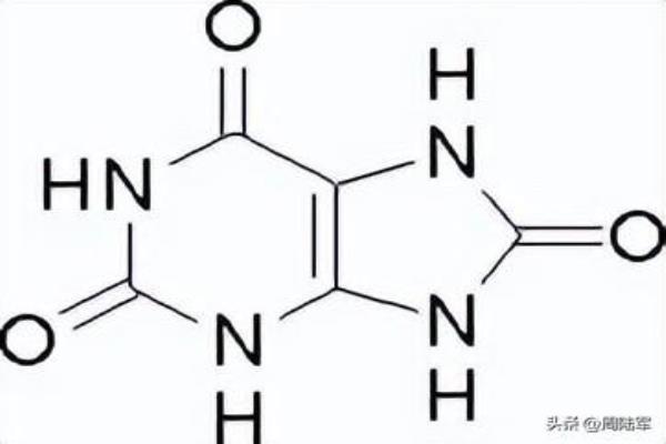 高档护肤品和普通护肤品的区别（皮肤能吸收营养）.