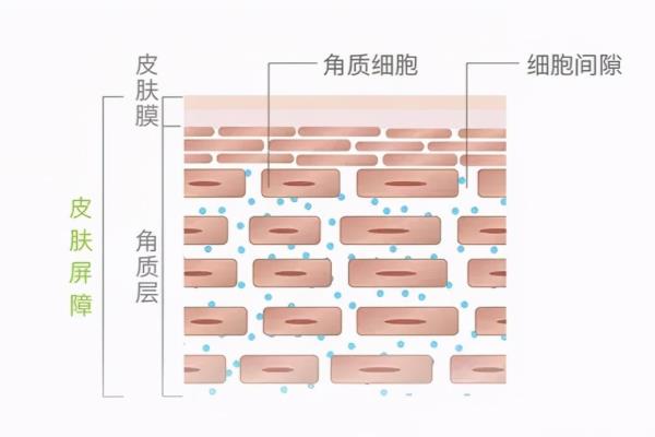 护肤品保养小课堂内容分析.