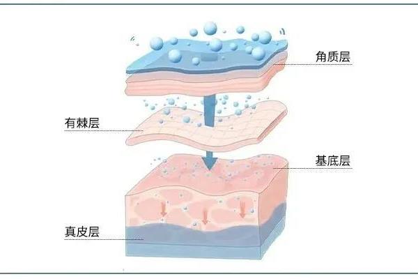 护肤品保湿和滋润有什么区别.