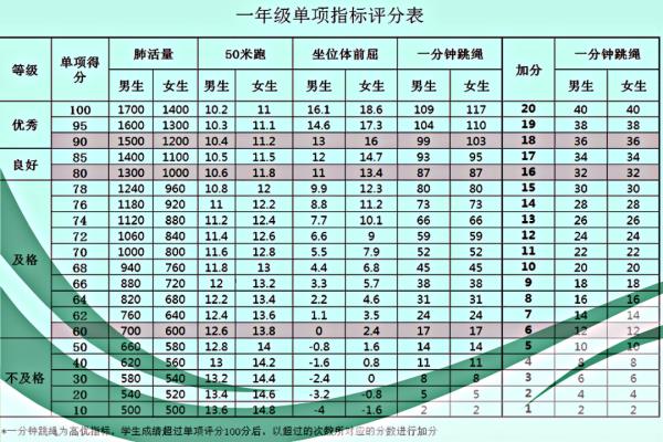 学生体质测试表填写样本.