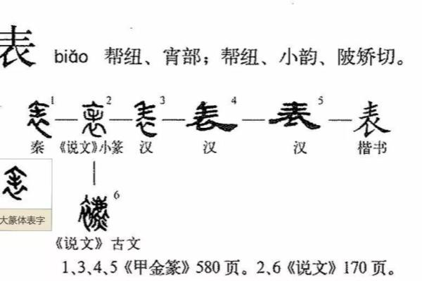 表的含义是什么意思（“表”字释义）.