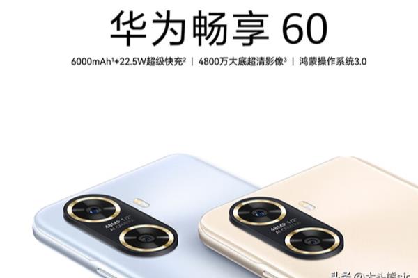 mate60有麒麟和5g吗?（华为mate60会有5g和麒麟芯片吗）.