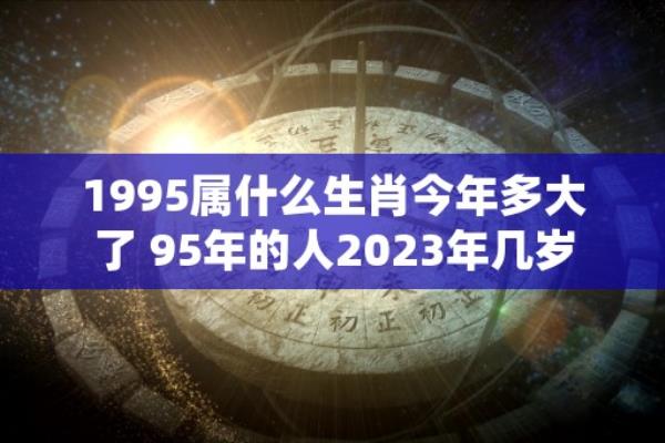 9495属什么生肖 今年多大了.