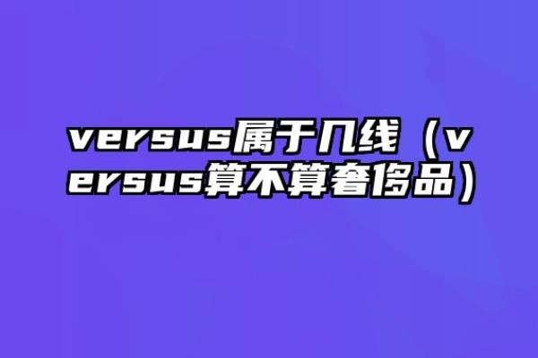 versus属于高端品牌吗.