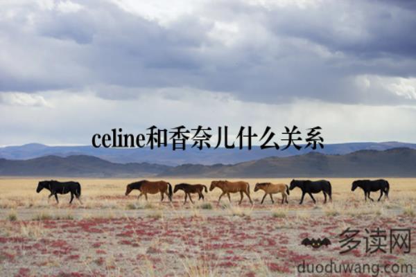 celine跟香奈儿有什么关系吗.