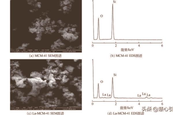 MCM-41型有序介孔二氧化硅纳米粒子常见的形貌是什么.