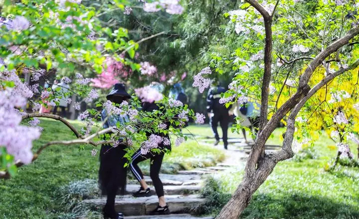 北京北海是人工湖吗(9)