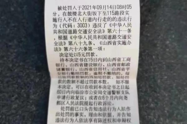 3003违章代码是什么意思.