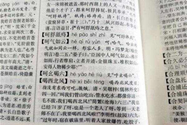 lv一声到四声是什么字.