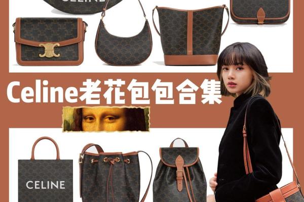 celine凯旋门老花中号价格.