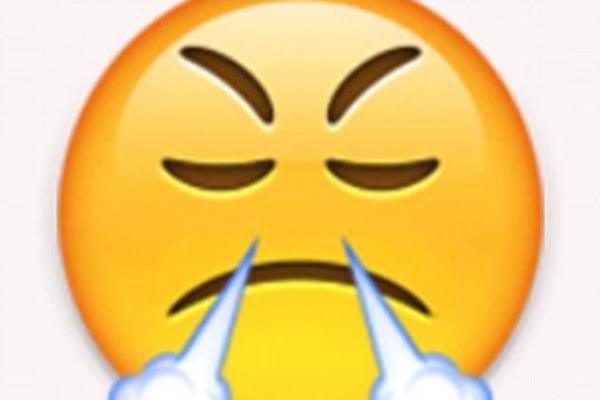 两个手摊开的emoji什么意思.