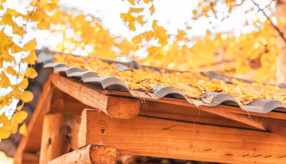 腾冲到怒江大峡谷旅行包车哪家好(3)