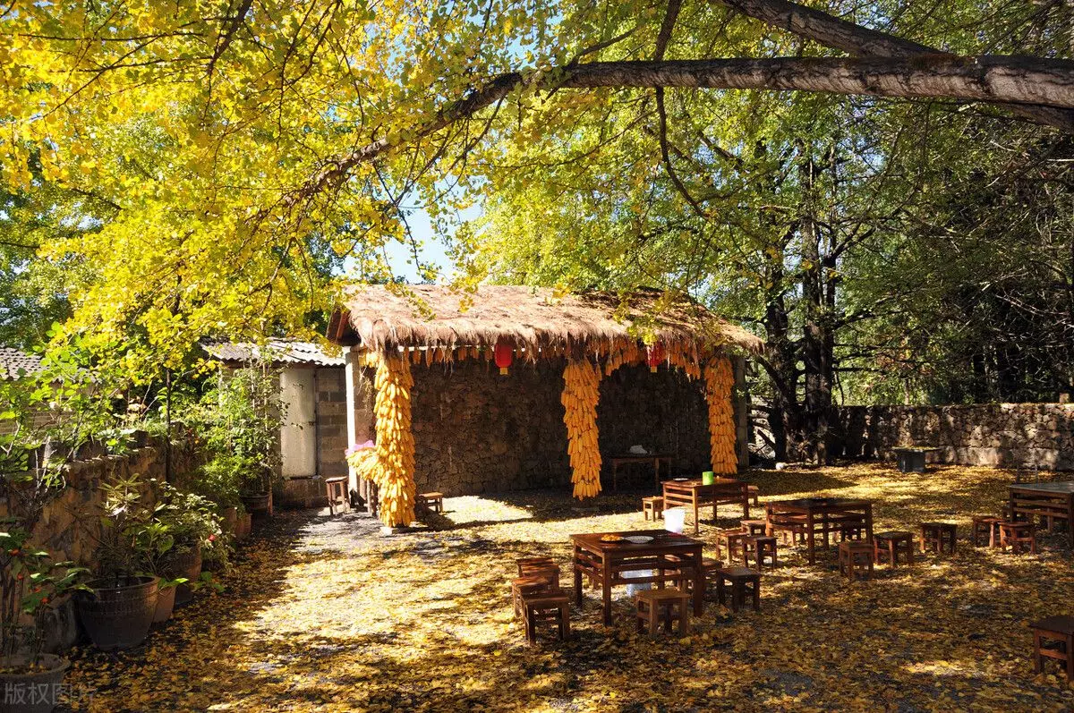 腾冲到怒江大峡谷旅行包车哪家好(4)