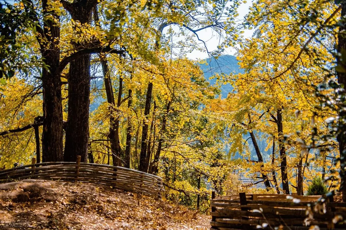 腾冲到怒江大峡谷旅行包车哪家好(5)