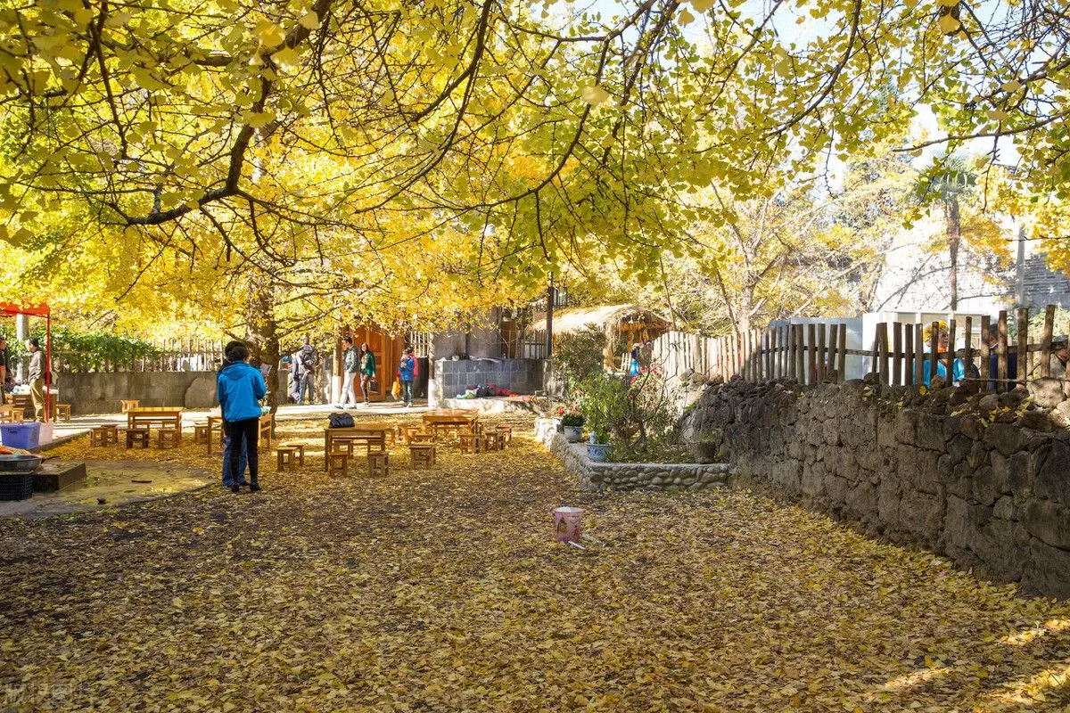 腾冲到怒江大峡谷旅行包车哪家好(6)