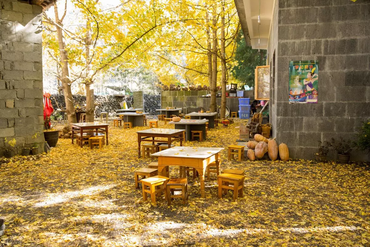 腾冲到怒江大峡谷旅行包车哪家好(7)