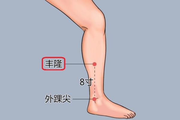 丰隆准确位置图和功效.