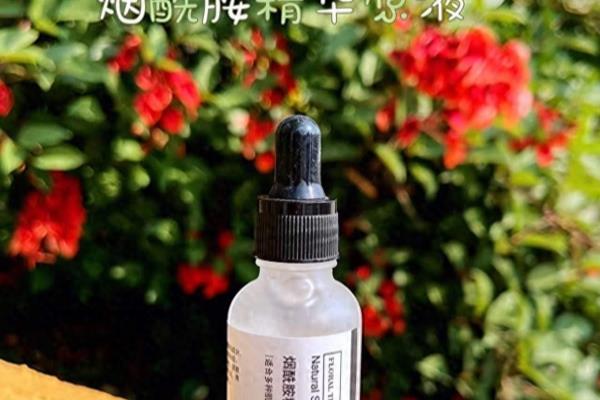 赫莲娜绿宝瓶精华75ml可以白天用吗.