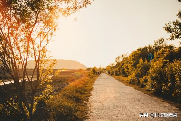 笔记本电脑是一直插着充电好,还是用完充.