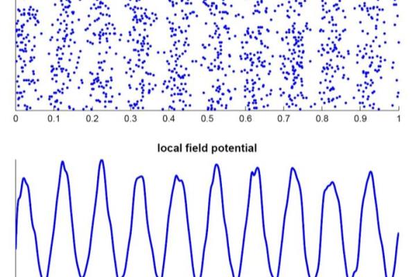 oscillation怎么记忆.