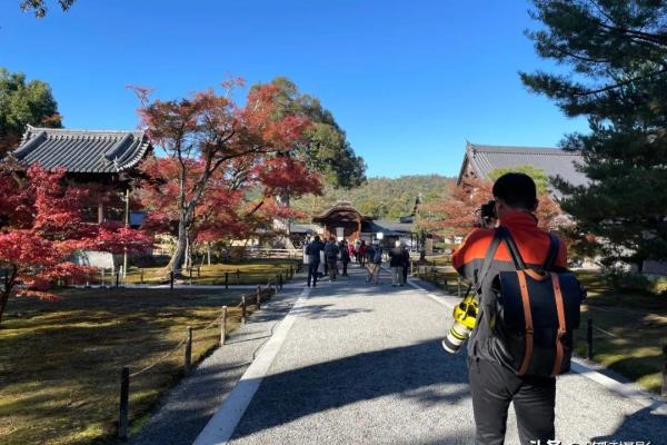 外国人为什么喜欢用大容量登山包.