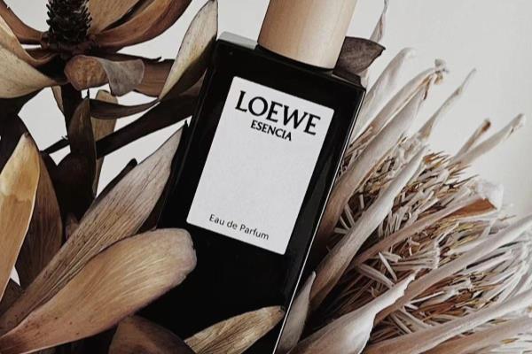 罗意威loewe黑色圆舞曲价格.