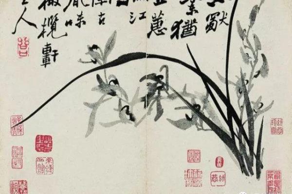 似兰斯馨如松之盛是什么意思.