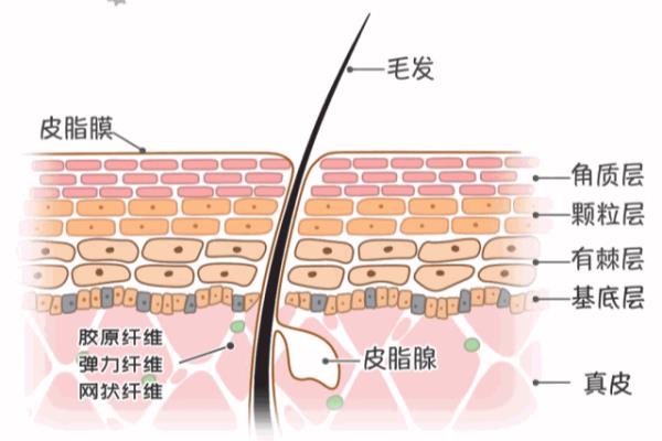 护肤甘油怎么用效果比较好?.