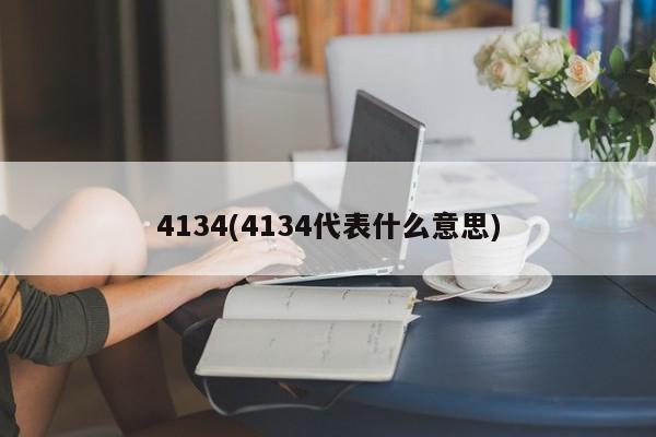 4134代表什么意思.