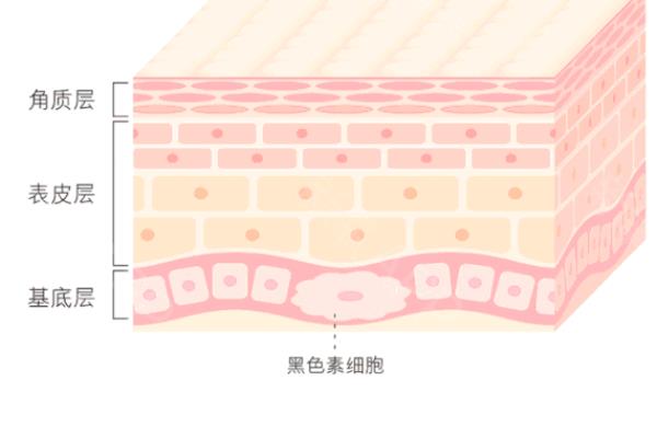 赫莲娜美白淡斑精华对轻微疤痕有用吗.