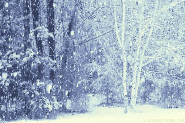 snowfall是可数名词吗.
