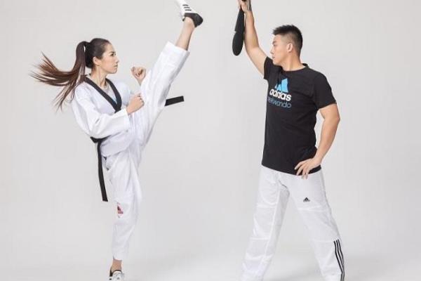 阿迪达斯TAEKWONDO是什么意思