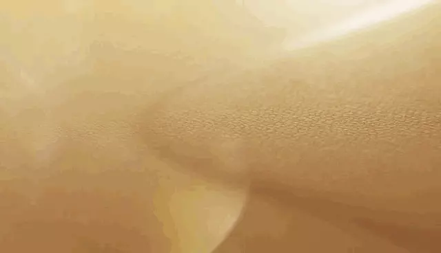 magsafe皮革卡包怎么取卡(22)