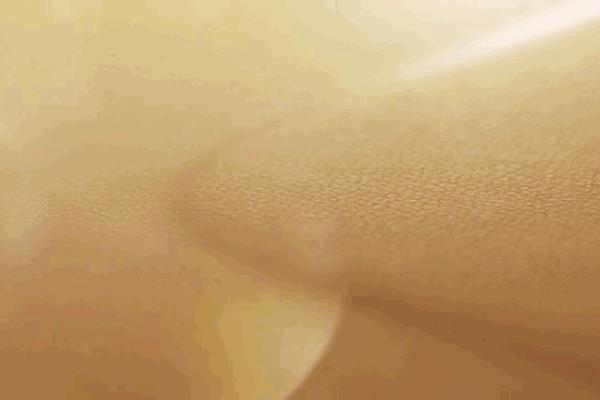 magsafe皮革卡包怎么取卡