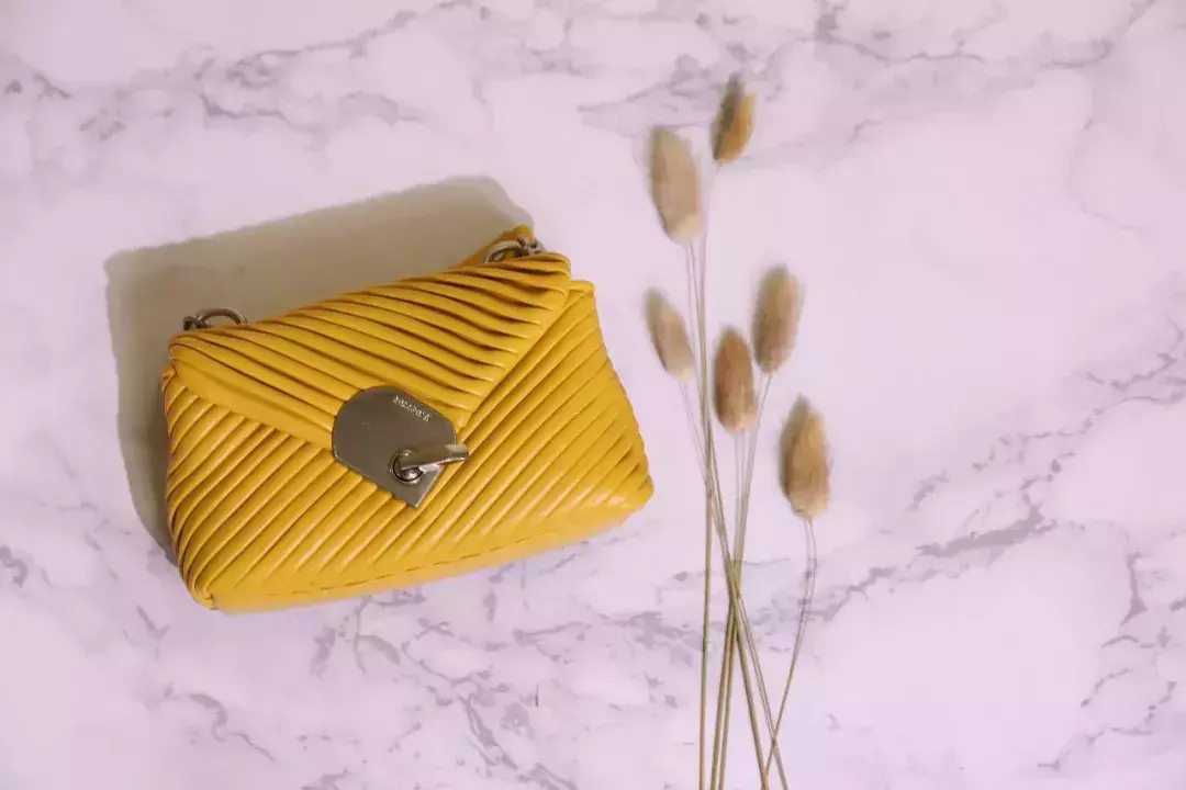 goyard信封包可以装手机吗(3)