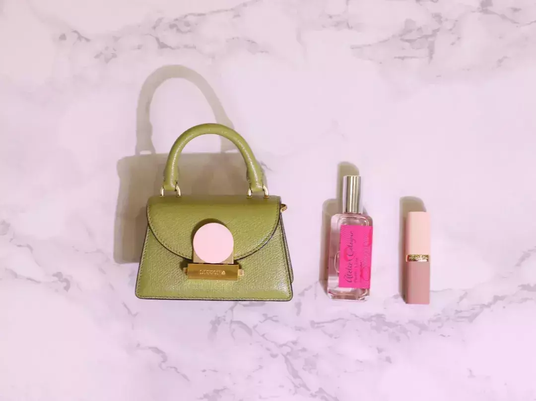 goyard信封包可以装手机吗(7)