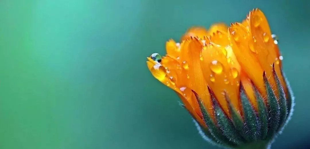 化妆品销售话术900句(1)