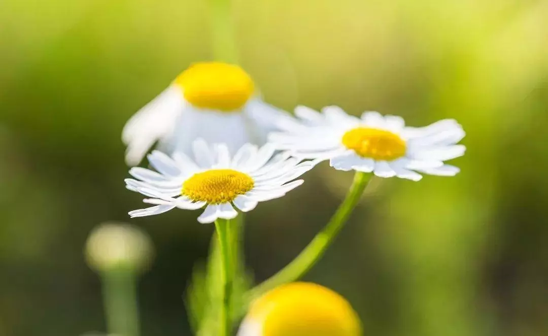 化妆品销售话术900句(3)