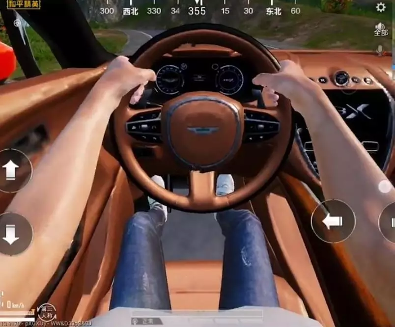 和平精英的阿斯顿马丁是什么车型(5)