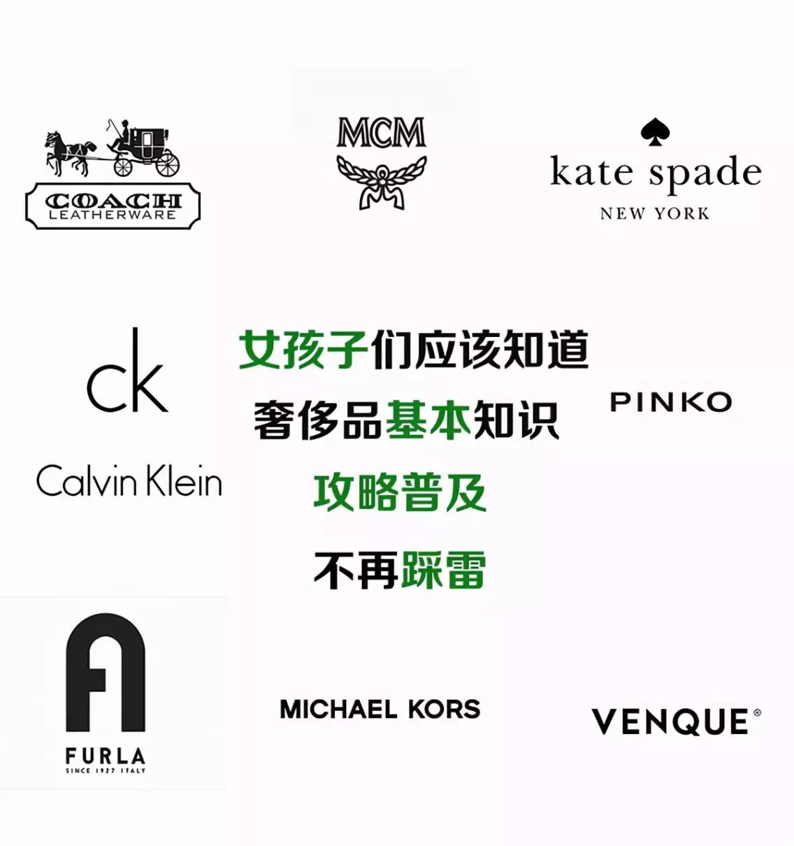 celine包与coach是一个档次吗(1)