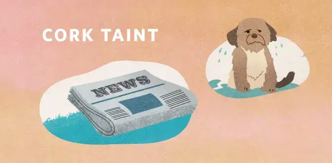 diam塞与其他酒塞的区别(2)