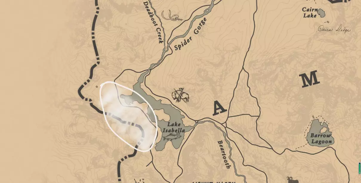 黑色阿拉伯马和白色阿拉伯马哪个好(1)