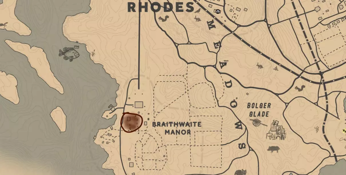 黑色阿拉伯马和白色阿拉伯马哪个好(2)