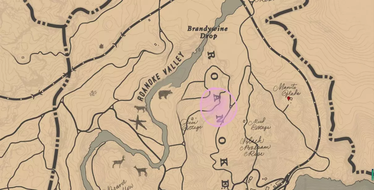 黑色阿拉伯马和白色阿拉伯马哪个好(4)