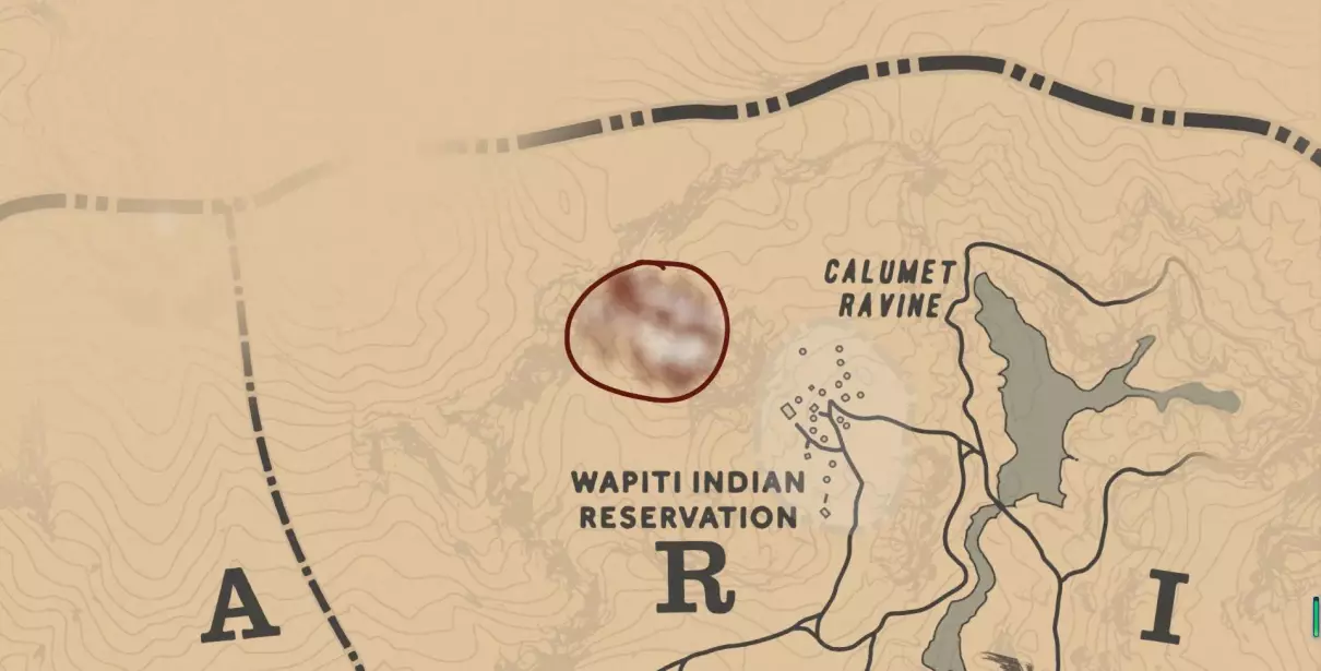 黑色阿拉伯马和白色阿拉伯马哪个好(5)