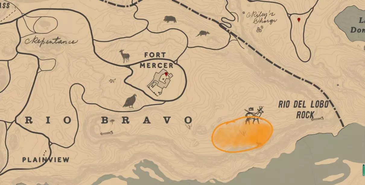 黑色阿拉伯马和白色阿拉伯马哪个好(6)