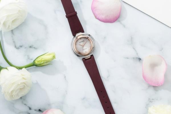 西铁城chronograph是什么意思