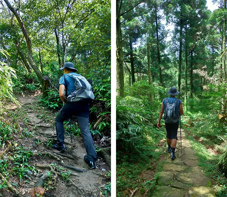 迪卡侬17l登山包登山杖怎么挂(24)
