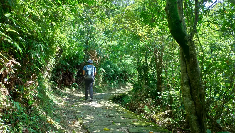 迪卡侬17l登山包登山杖怎么挂(25)